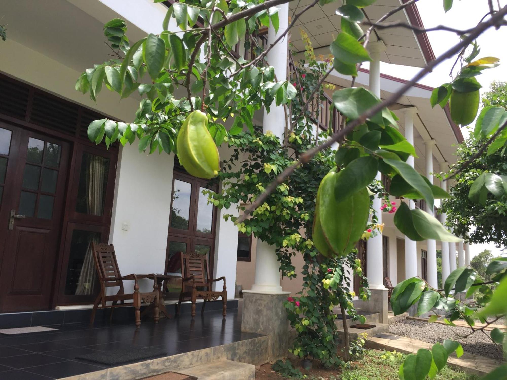 Goddess Garden Sigiriya Hotel Exterior foto